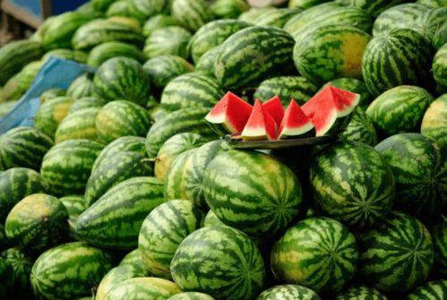 荷兰网红吃瓜事件真相是真的吗,真相揭秘,是真是假? 第1张 荷兰网红吃瓜事件真相是真的吗,真相揭秘,是真是假? 第1张